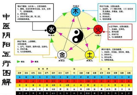 水和金 五行|金为什么生水、为什么金生水